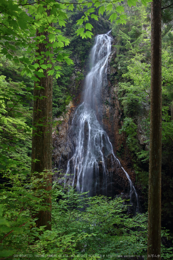 奈良 川上村 御船の滝の夏 ／ Canon EOS 5Ds - お写ん歩